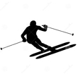 Stephen Bierer Snow Skiing