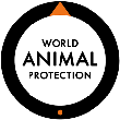 Stephen Bierer Global Animal Welfare